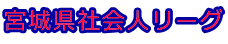 宮城県社会人リーグ